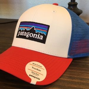 Patagonia Trucker Cap